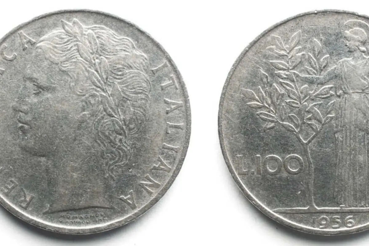 Immagine selezionata