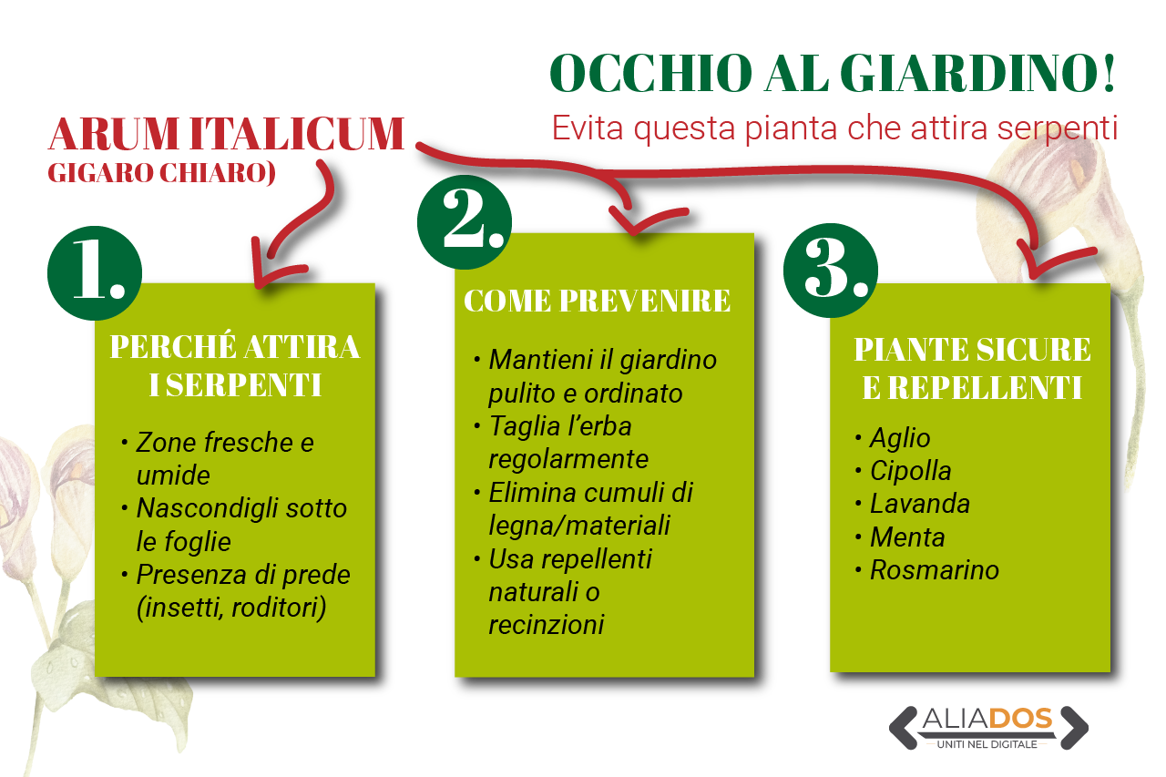 Immagine selezionata